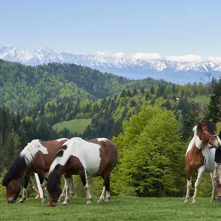 Villa Gorna Mountains - Stable *