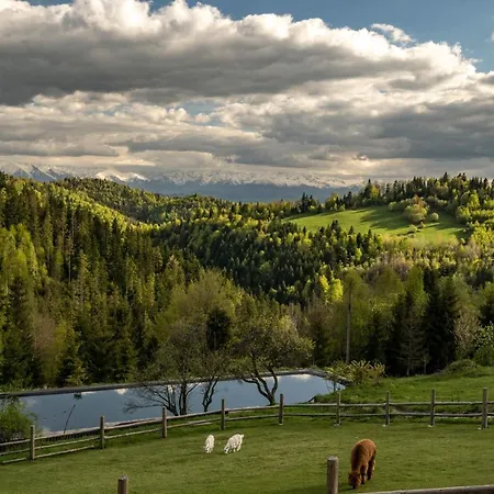 Villa Gorna Mountains - Stable *