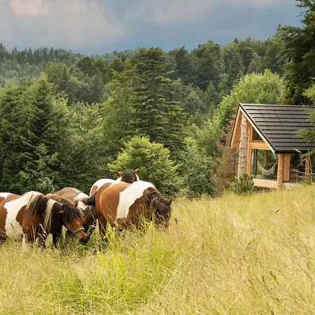 Villa Gorna Mountains - Stable *