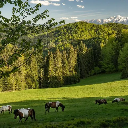 Villa Gorna Mountains - Stable *