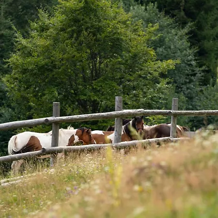 Gorna Mountains - Stable Villa